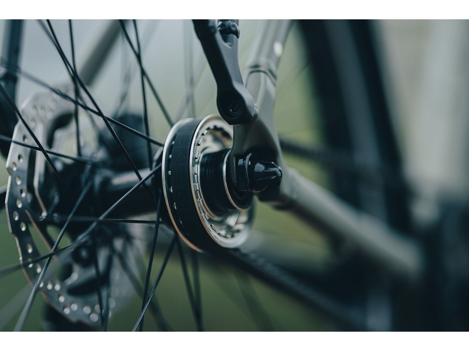 Cube Editor One FE, reedgreen´n´black | Bild 9