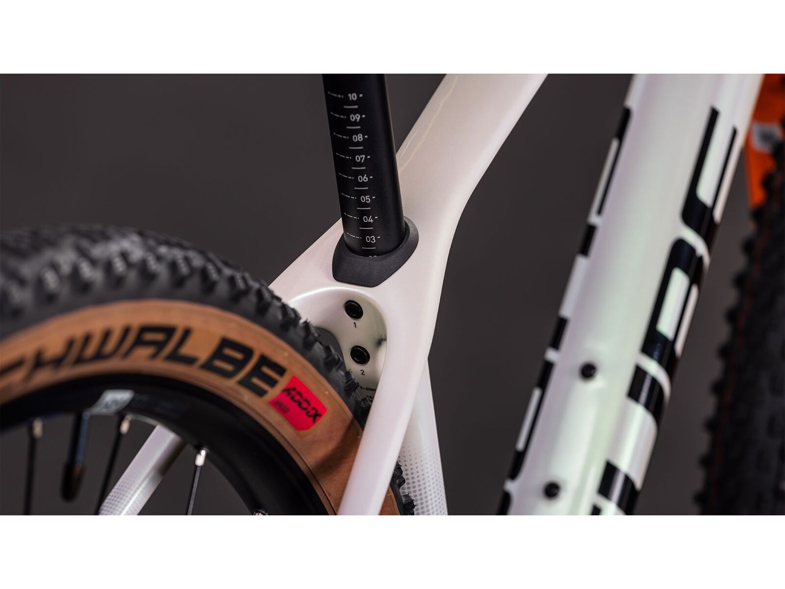 Cube Phenix C:62 Rookie SLX 29, teamline | Bild 4