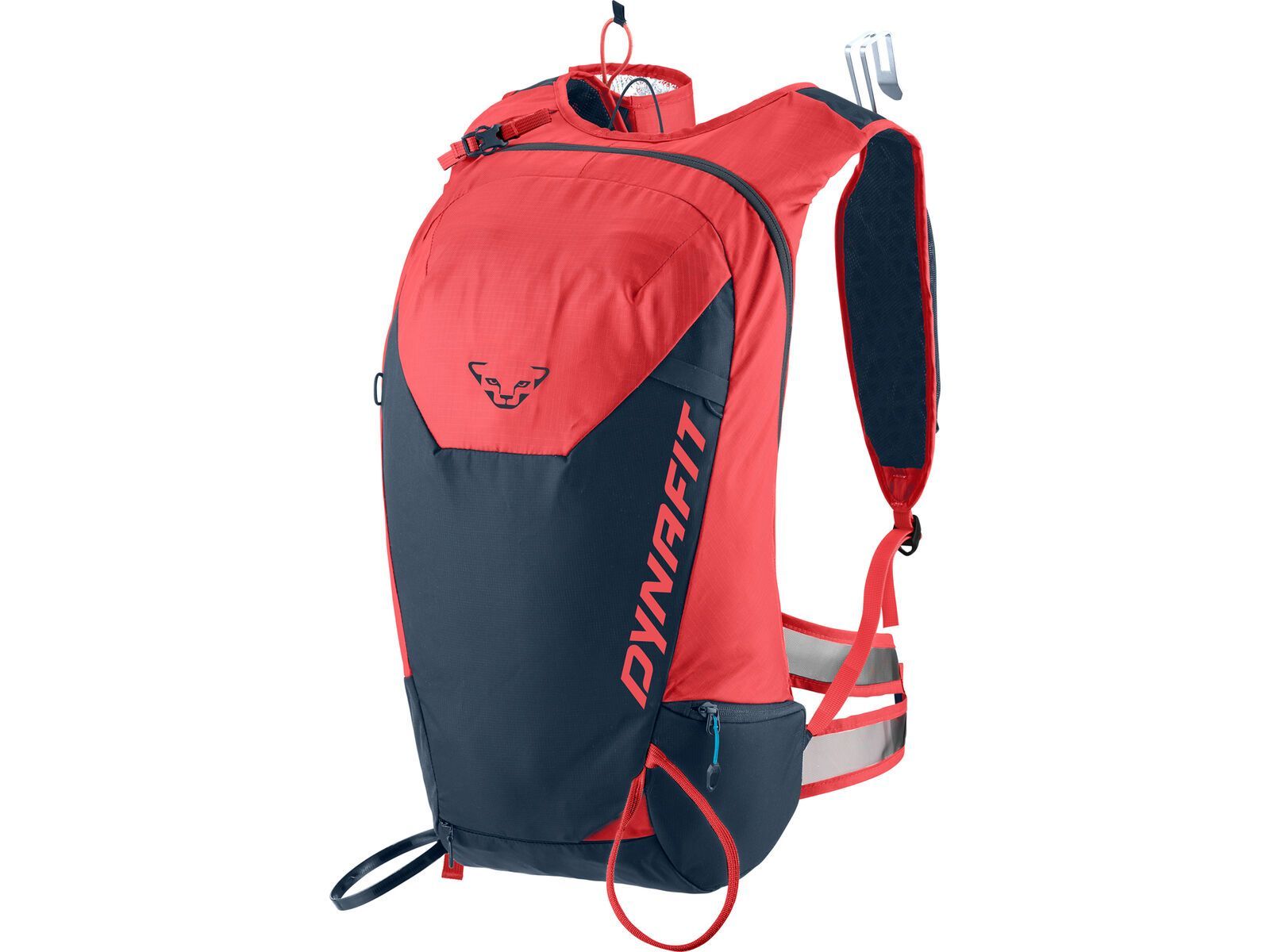 Dynafit Speed 20 Backpack, hot coral / blueberry | Bild 1