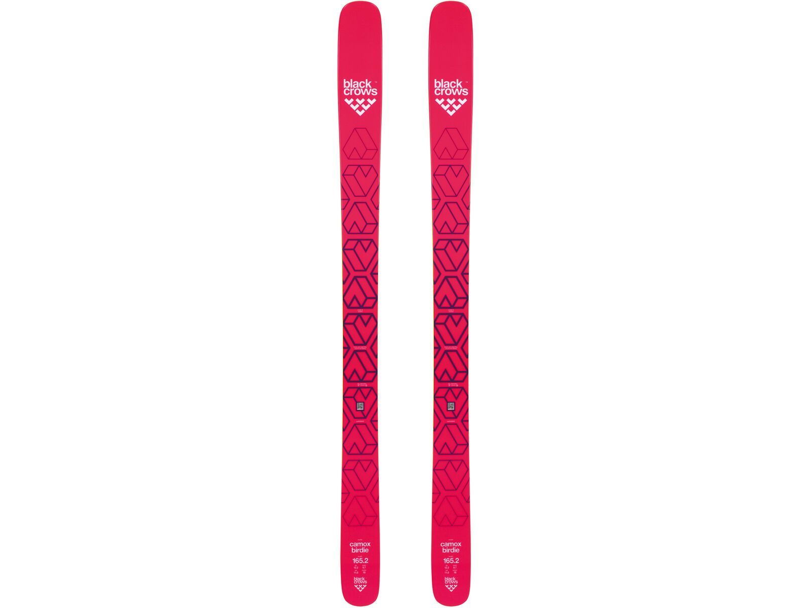 Set: Black Crows Camox Birdie 2019 + Salomon Warden 11 orange/black | Bild 2