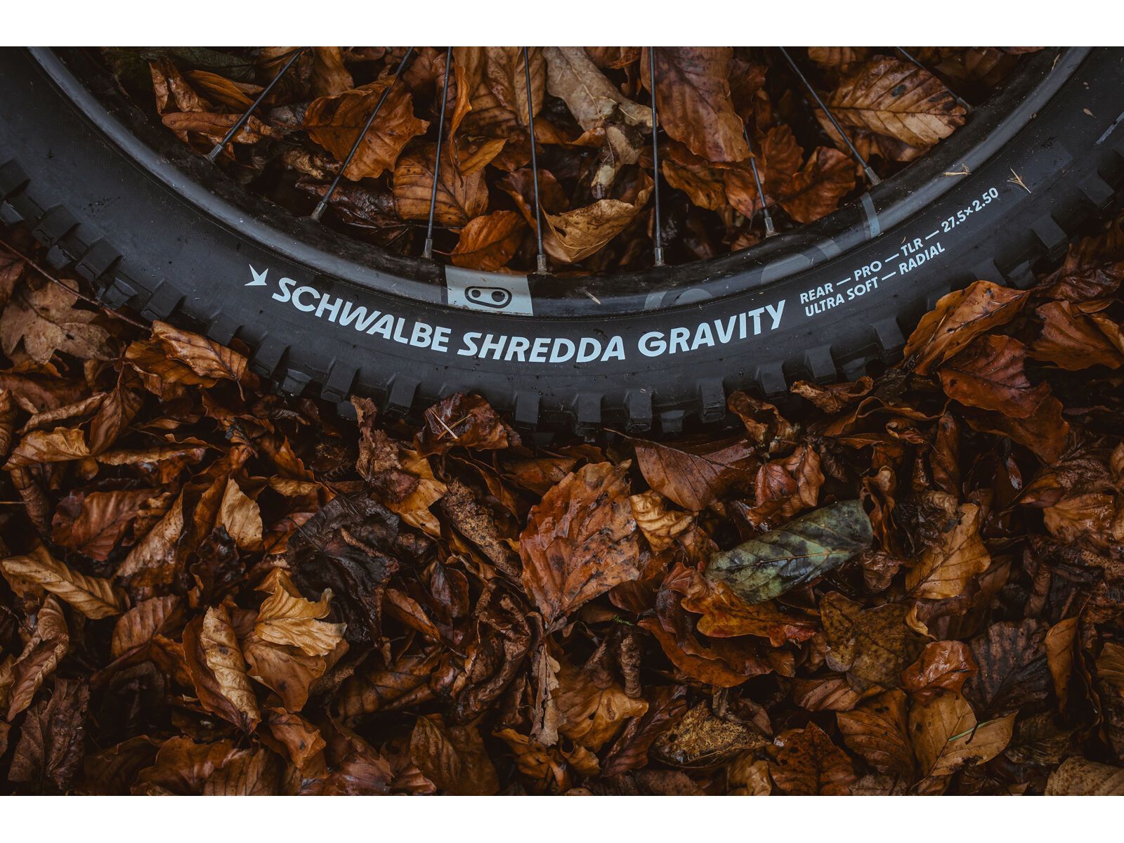 Schwalbe Shredda Rear Radial Addix Ultra Soft Gravity Pro - 29 Zoll | Bild 17