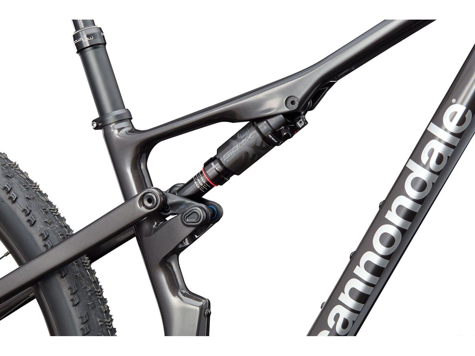 Cannondale Scalpel 4, jet black, raw carbon/mercury | Bild 8