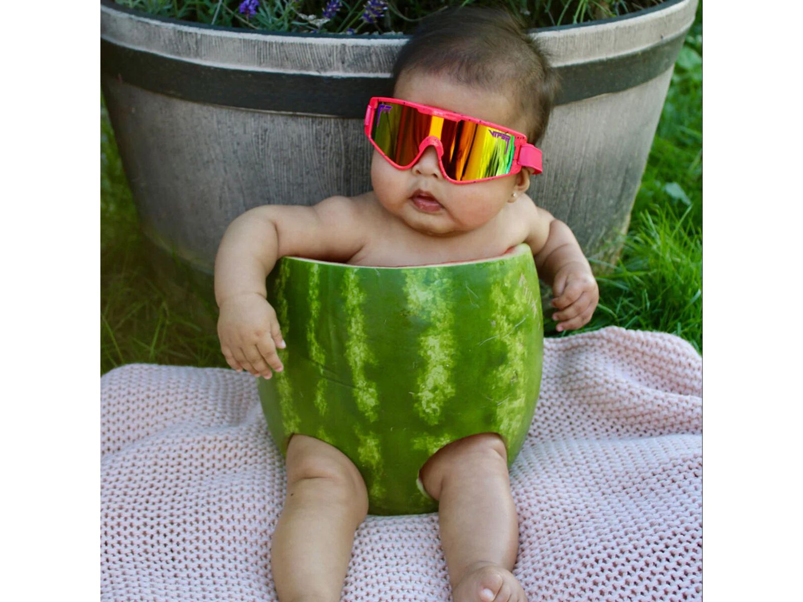 Pit Viper The Baby Vipes, The Radical / Rainbow | Bild 7