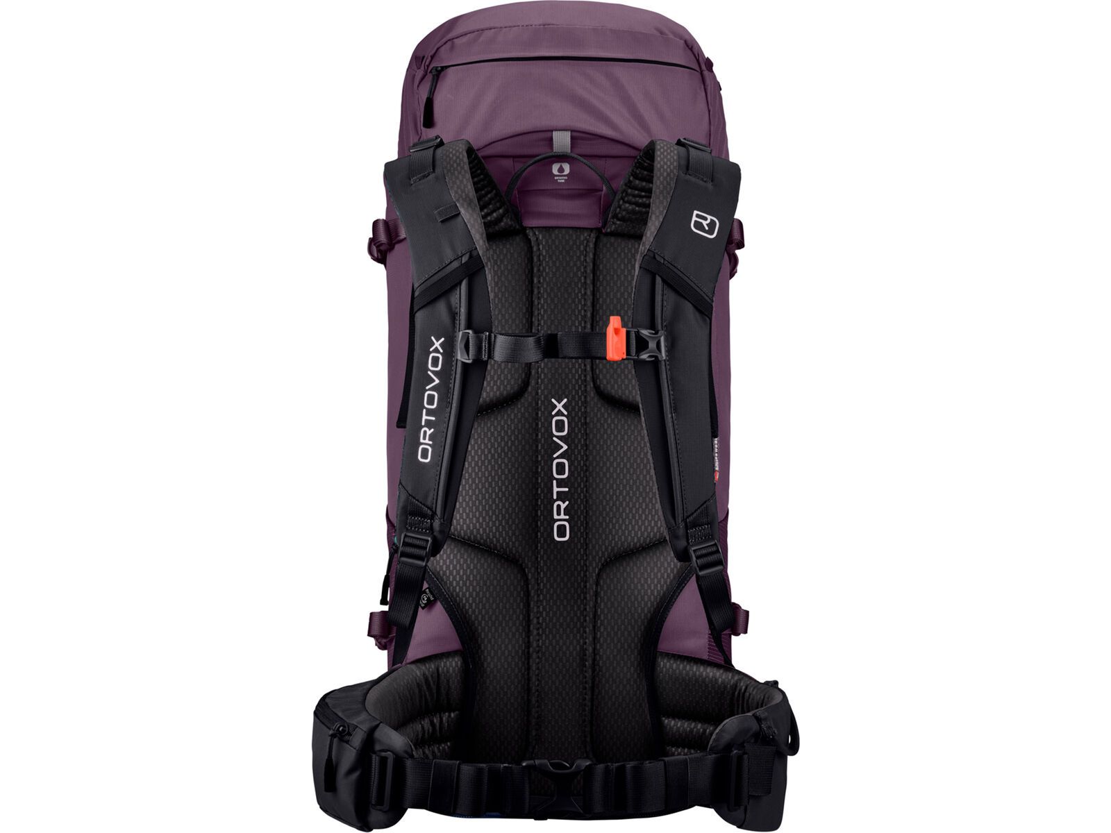 Ortovox Peak 42 S, wild berry | Bild 2