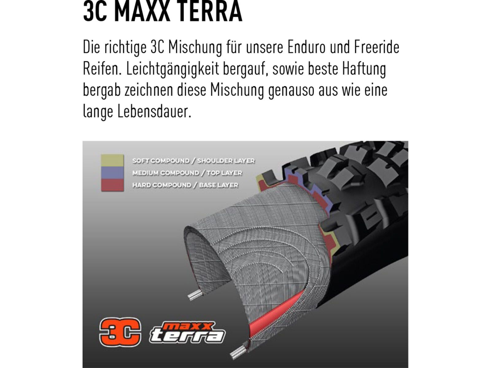 Maxxis Dissector 3C MaxxTerra EXO WT TR - 29 Zoll | Bild 5