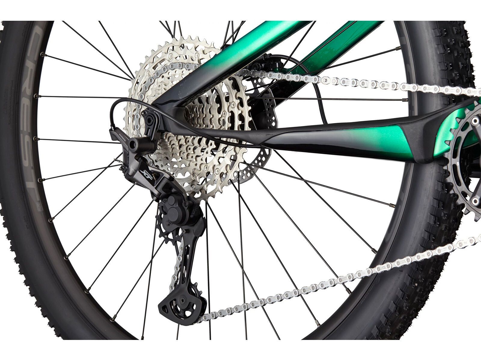 Cannondale Scalpel Carbon 4, jungle green | Bild 4