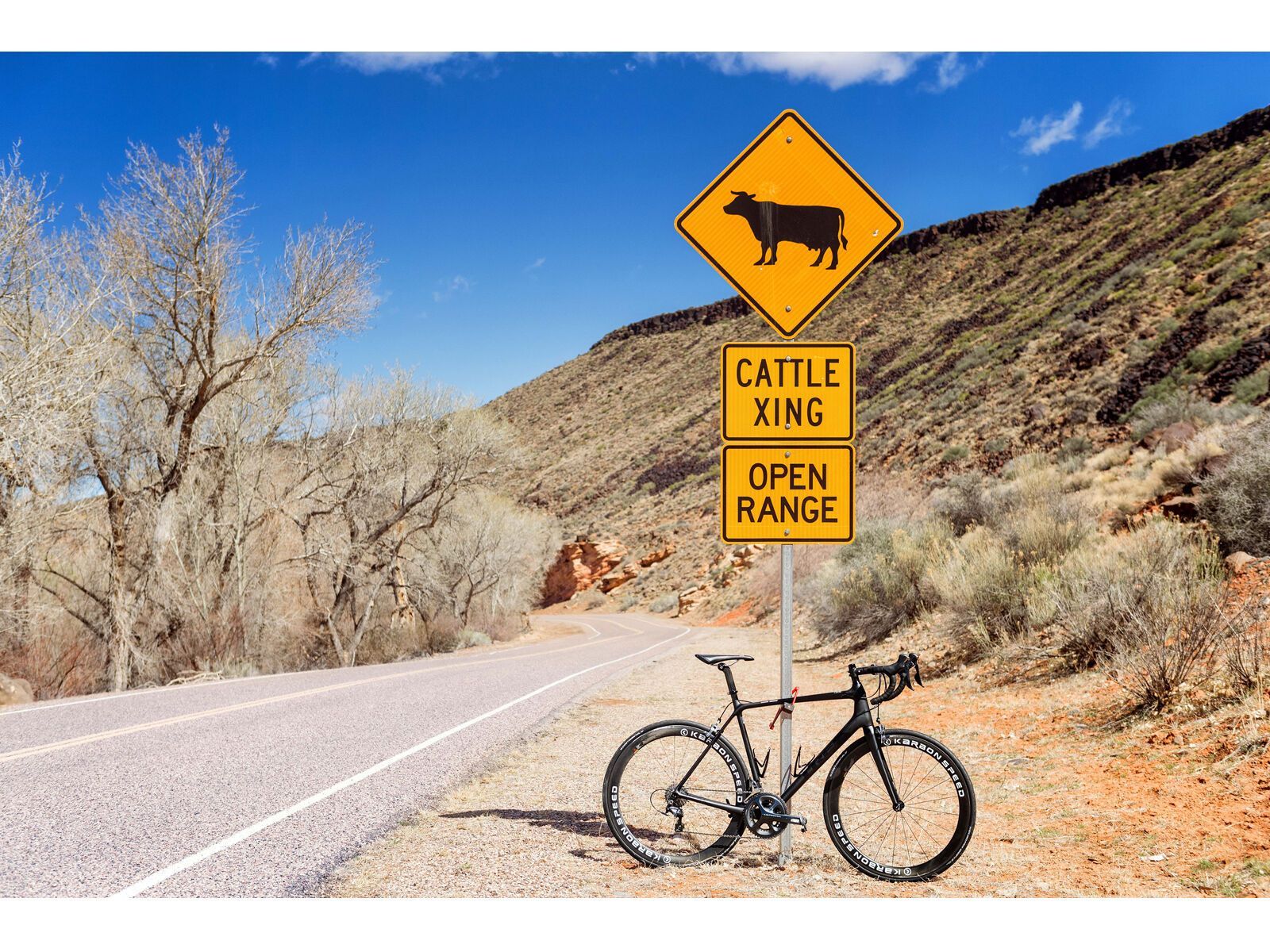 Abus Bordo Lite 6055K/85 + Halter SH, black | Bild 5