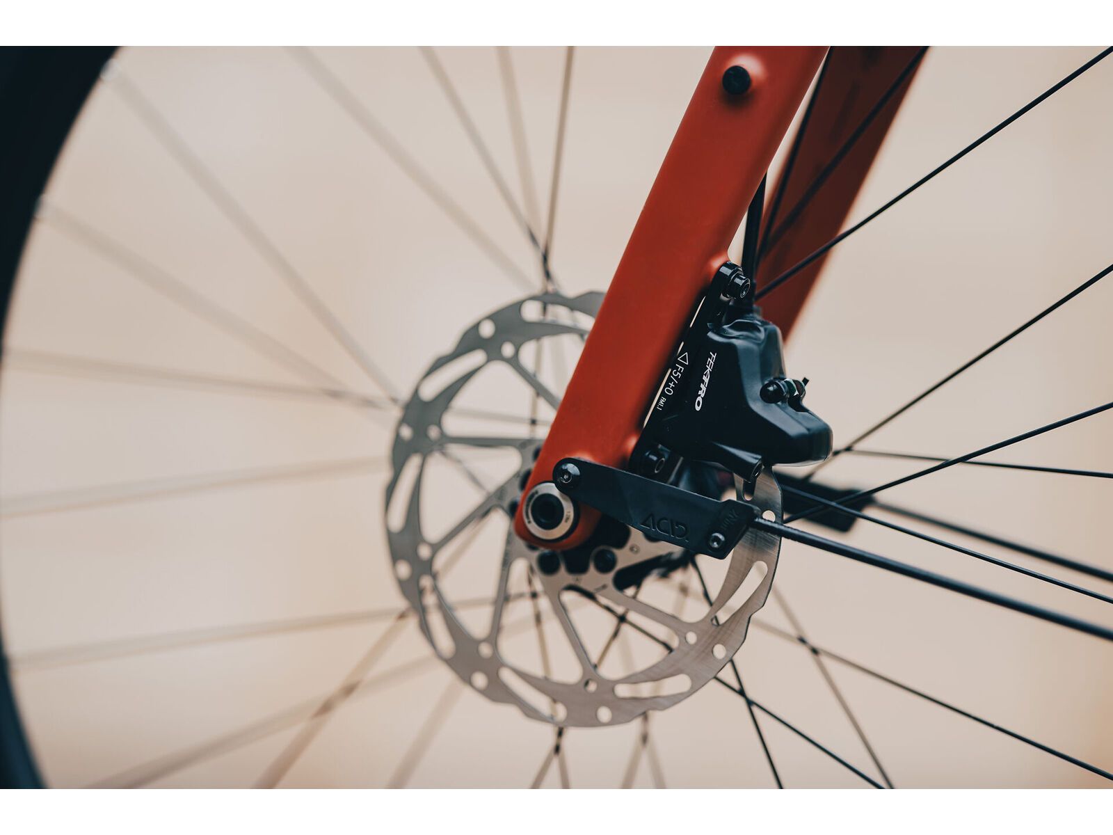 Cube Nulane Race FE, amber´n´black | Bild 11