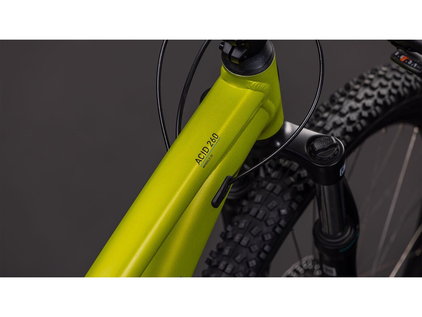 Cube Acid 260 Disc, lizard´n´blue | Bild 3