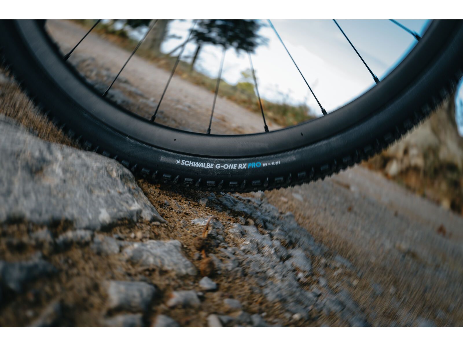 Schwalbe G-One RX Pro Addix Race Super Race - 700C, transp. sidewall | Bild 4
