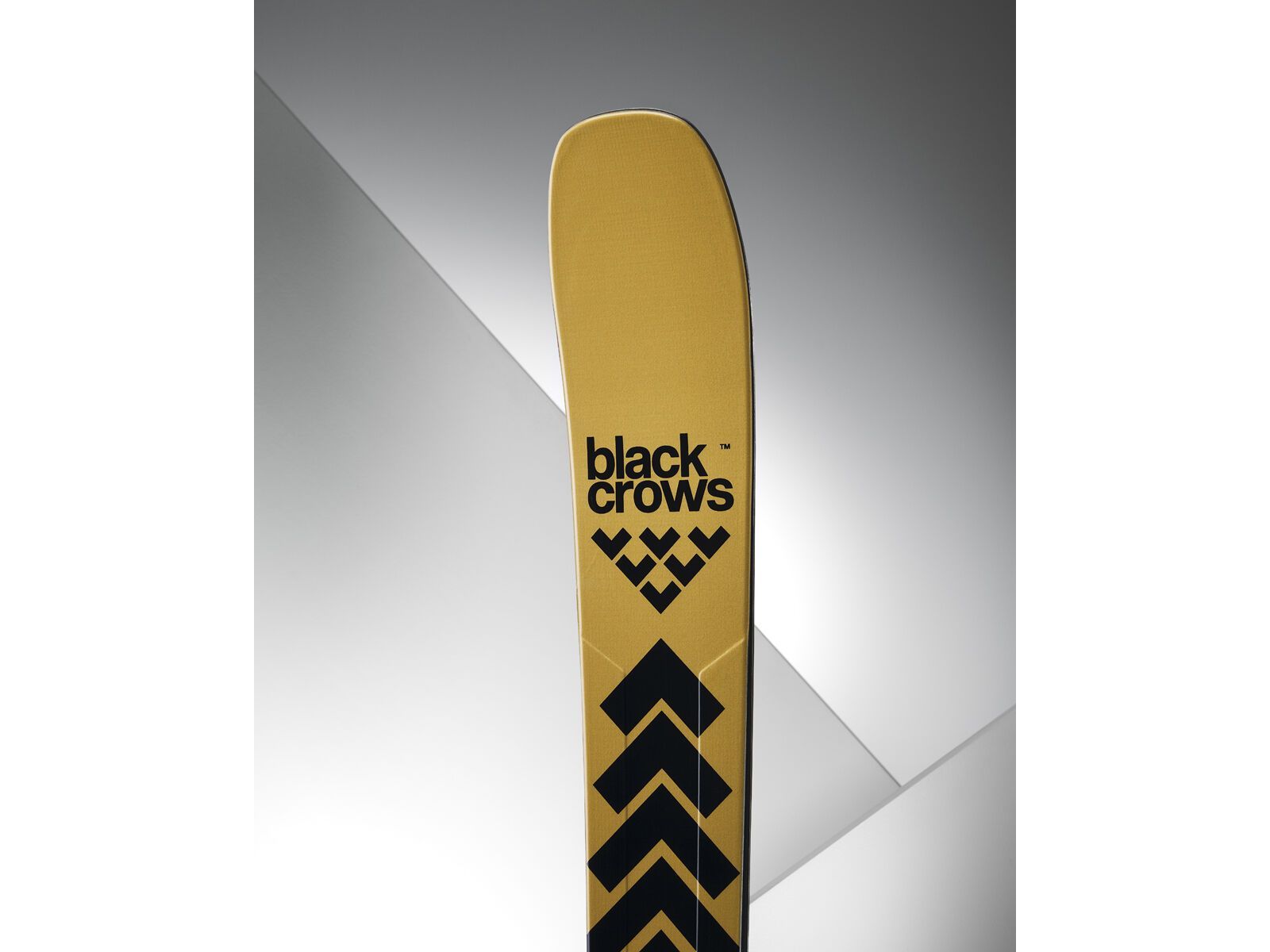 Black Crows Justis, gold | Bild 4