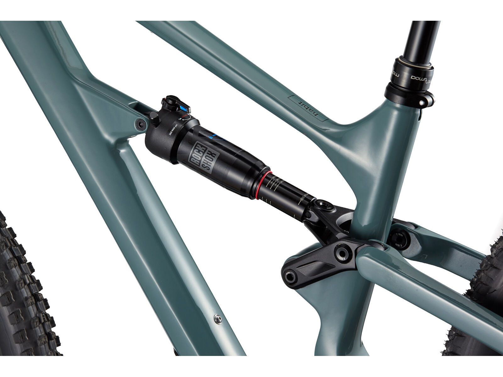 Cannondale Habit Carbon 1, jade | Bild 6