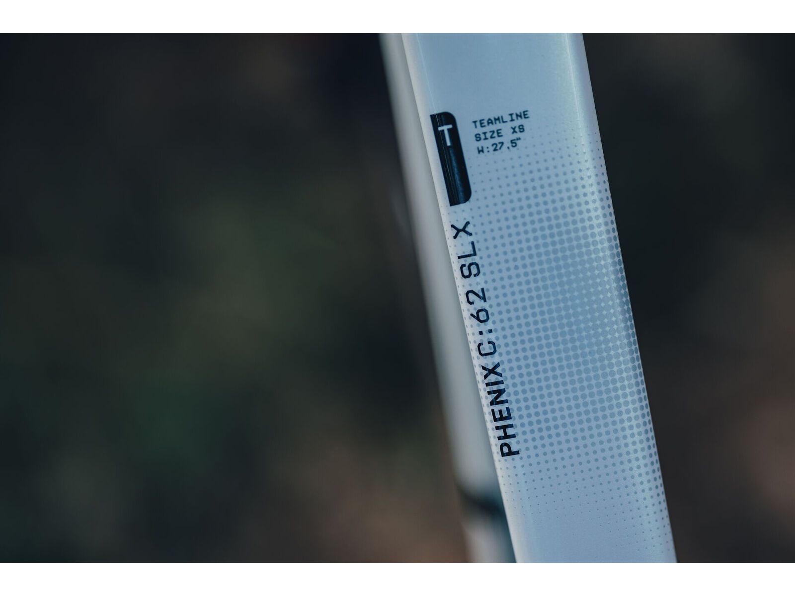 Cube Phenix C:62 Rookie SLX 29, teamline | Bild 11