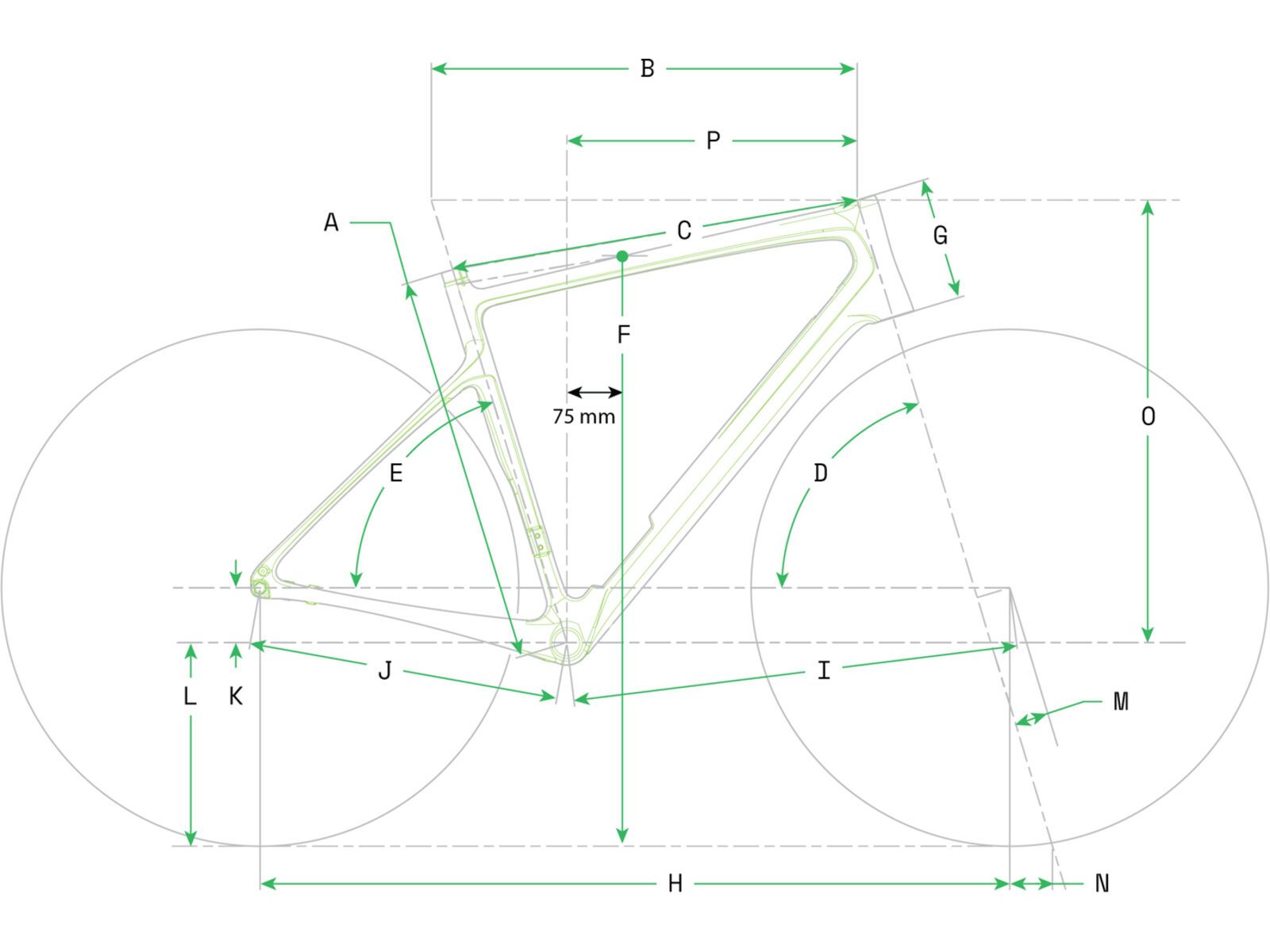 Cannondale Synapse Carbon 3 L, chalk | Bild 12