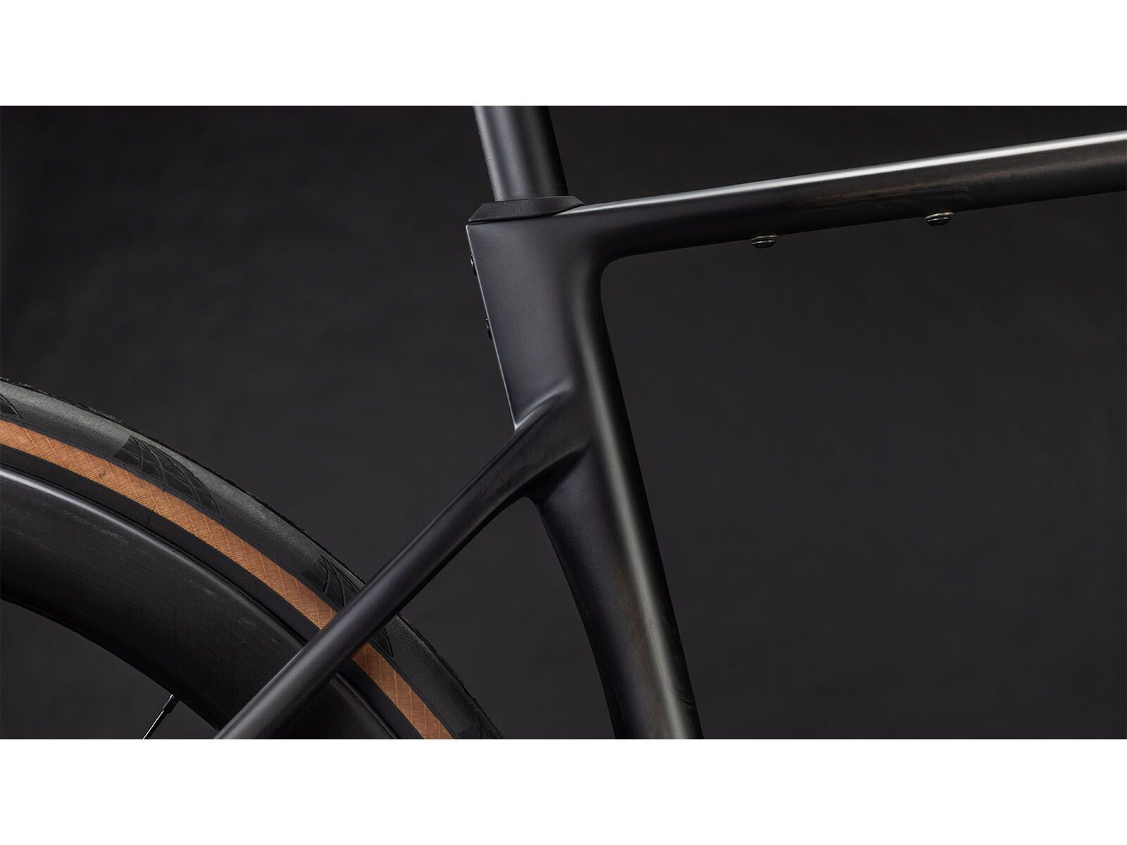 Cube Attain C:62 SLT, carbon´n´coalchrome | Bild 5
