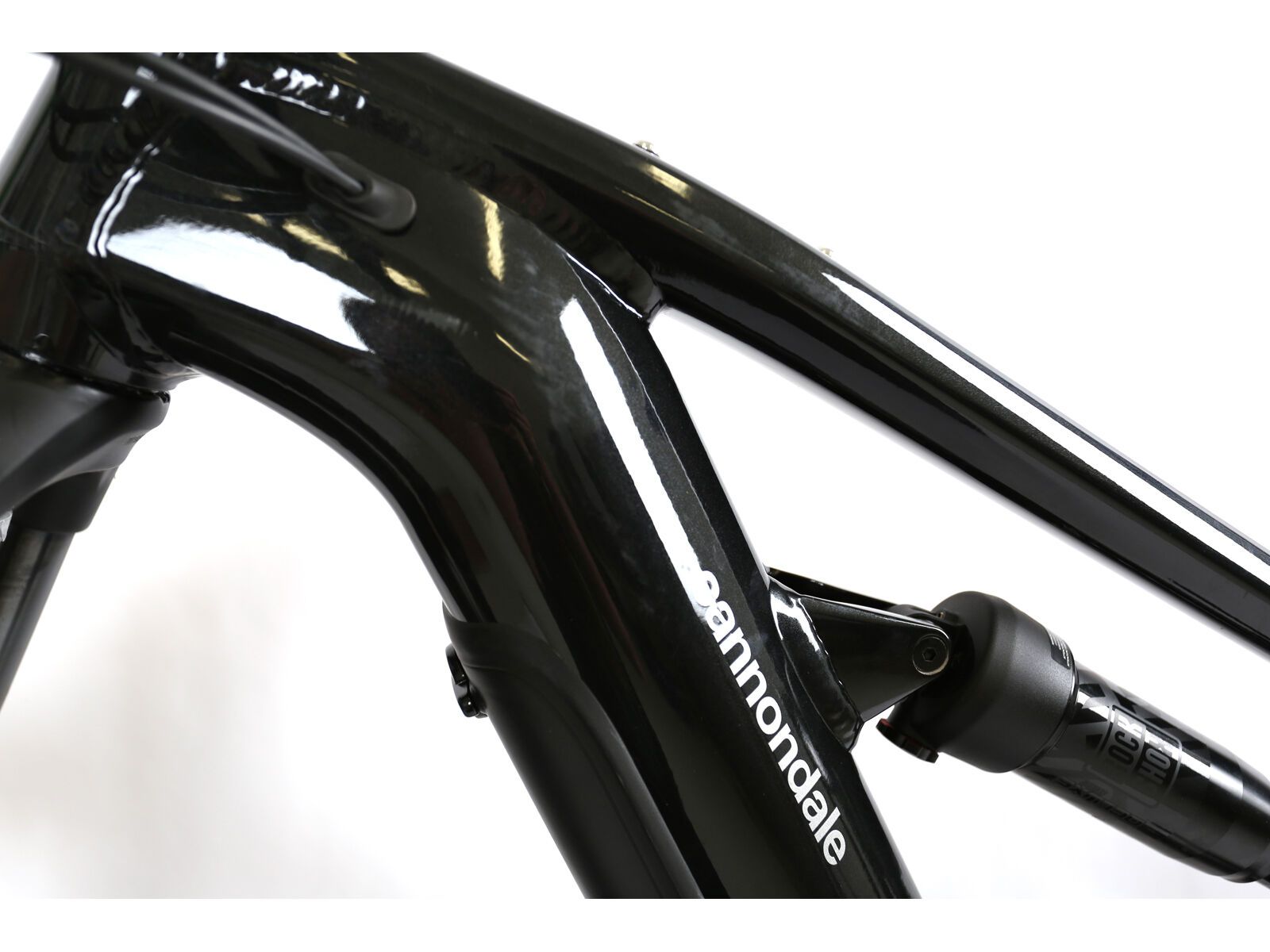 ***2. Wahl*** Cannondale Moterra EQ black pearl | Bild 5