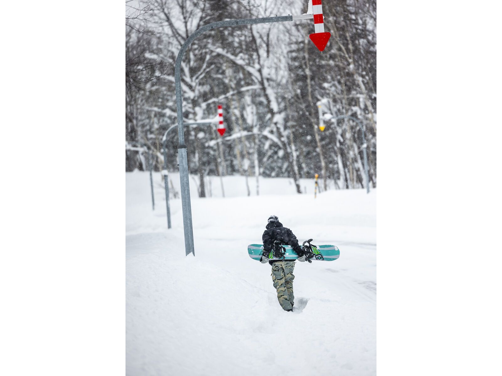 Bataleon Goliath Wide | Bild 7