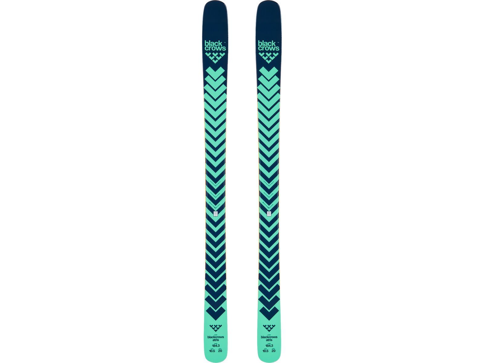 Black Crows Atris, turquoise | Bild 1