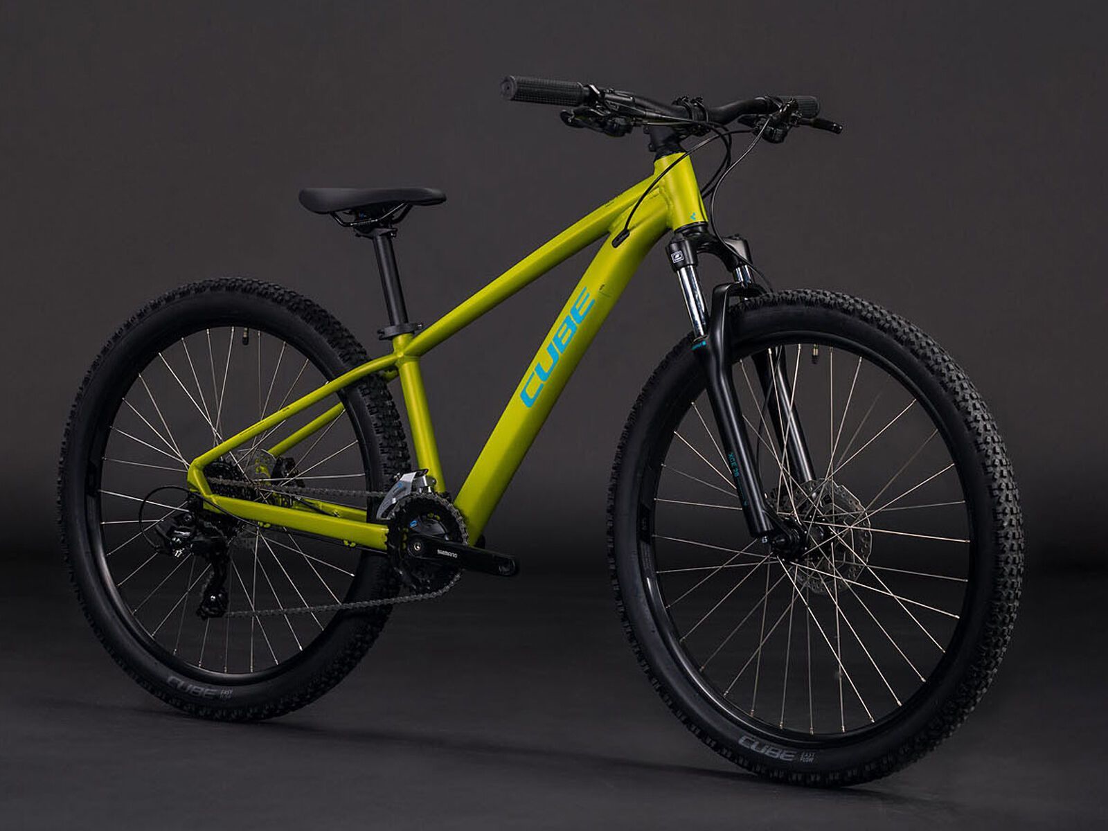 Cube Acid 260 Disc, lizard´n´blue | Bild 2