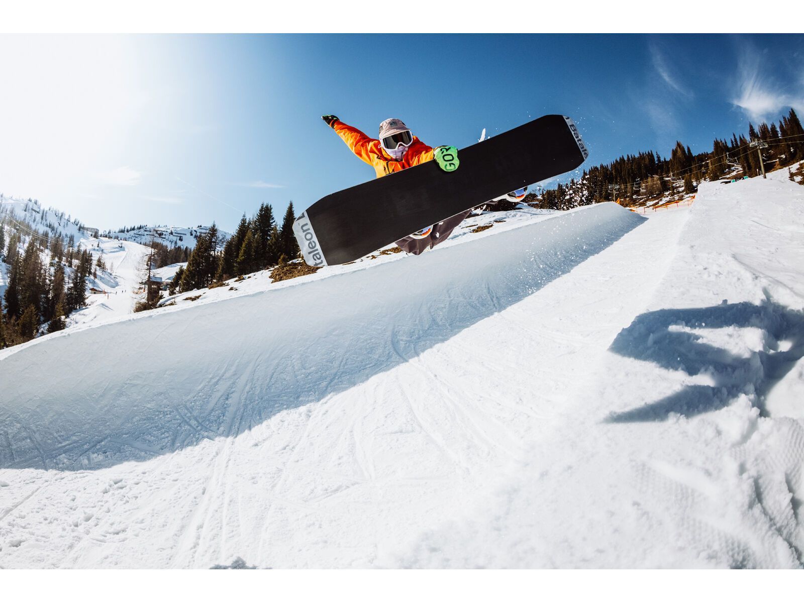Bataleon Wallie | Bild 7