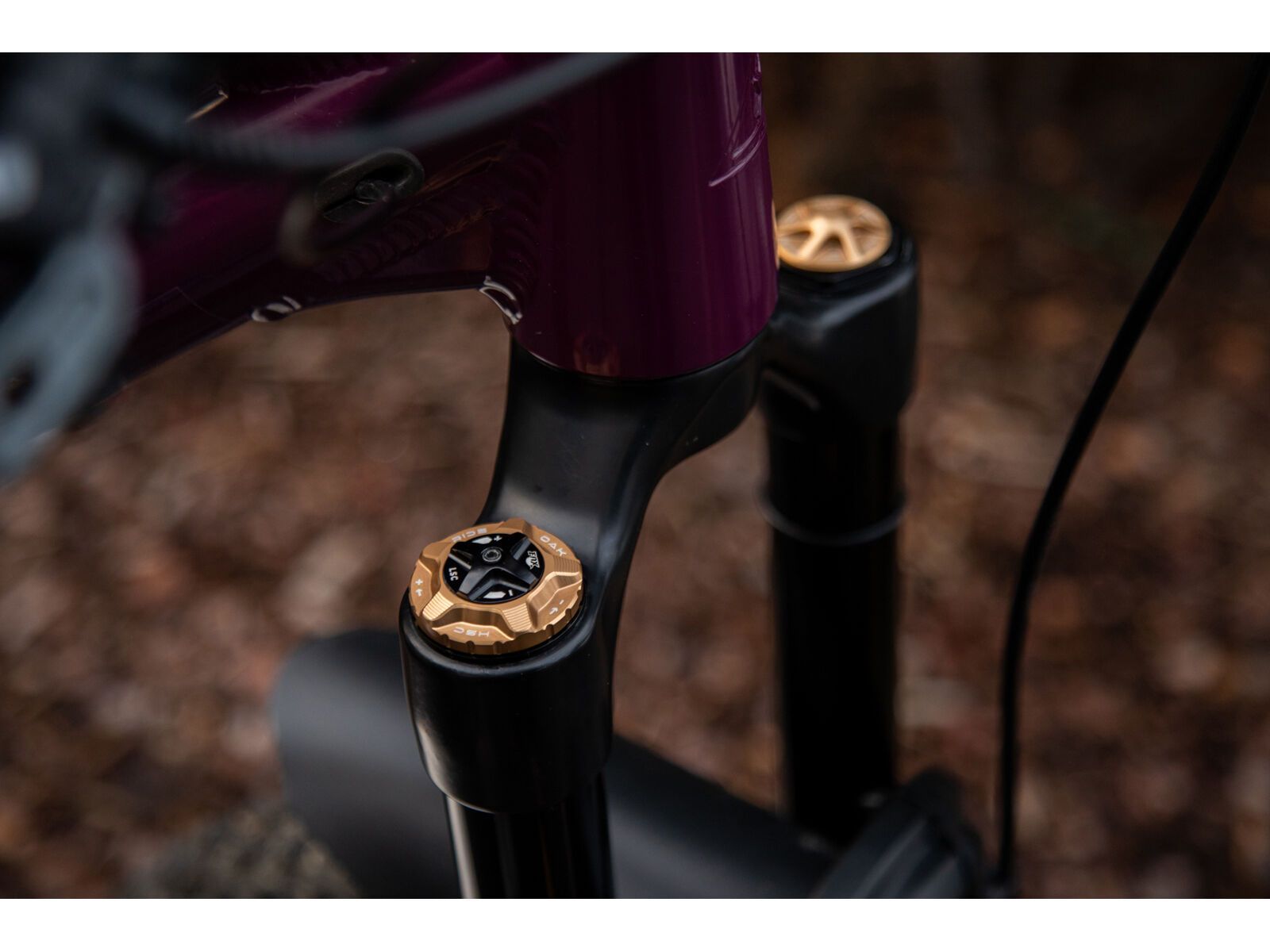 OAK Components Forkcap HSC für Fox 34, 36, 38, 40, copper | Bild 2