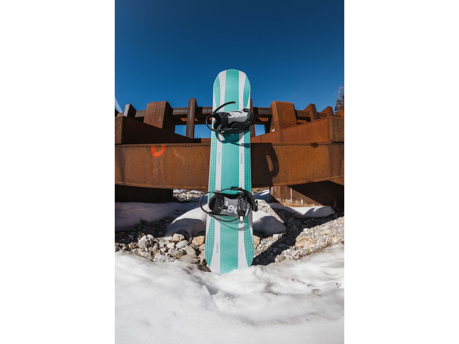Bataleon Goliath | Bild 11