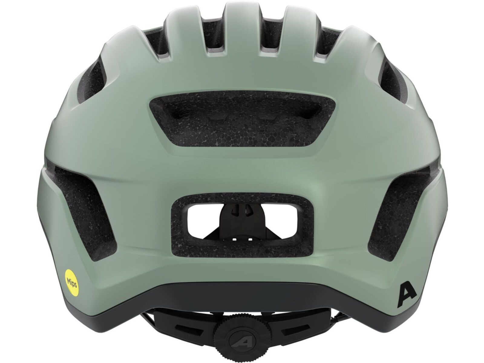Alpina Paranus MIPS, willow-green matt | Bild 4