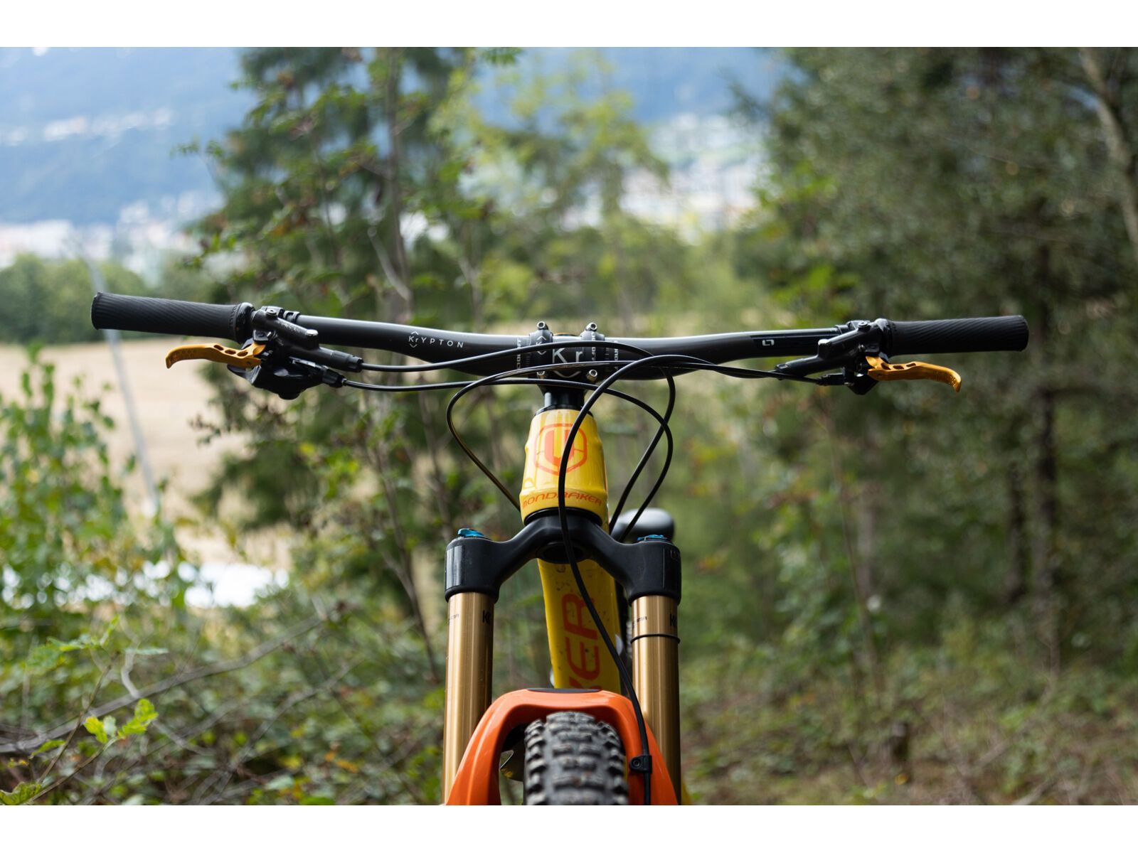 OAK Components SH Bremshebel Set - Shimano, kashgold | Bild 3