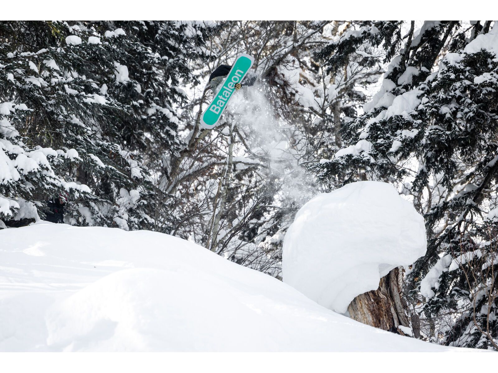 Bataleon Goliath Wide | Bild 8