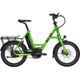 i:SY N3.8 ZR froggy green