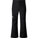 The North Face Men’s Descendit Pant tnf black