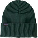 Patagonia Fishermans Rolled Beanie cascade green