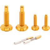 OAK Components RLP Schrauben Set (4 Stck.) gold