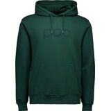 POC Hood pargasite green