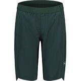 Maloja ValgrandeM. mountain pine