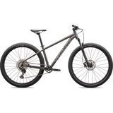 Specialized Rockhopper Expert 29 satin smoke/gloss chrome