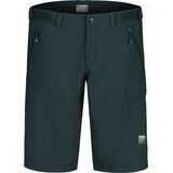 Maloja KehrwaldM. mountain pine