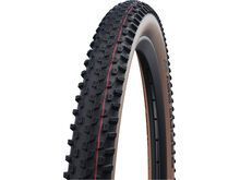 Schwalbe Racing Ray Evo Addix Speed Super Race - 29 Zoll, transp. sidewall
