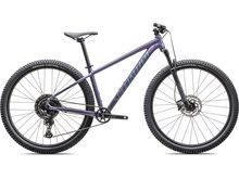 Specialized Rockhopper Comp - 29, satin mvemet fjdmet