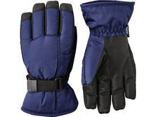 Hestra Isaberg CZone Jr. 5 Finger, ultramarine