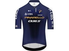 Q36.5 Gregarius Q36.5 Pro Cycling Team Short Sleeve Jersey 2026