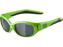 Alpina Flexxy Kids, Black / green dino gloss