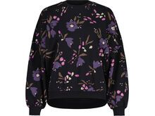 Maloja LauenaM., deep black brushflower