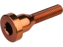 Burgtec Top Cap Bolt, kash bronze