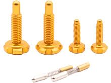 OAK Components RLP Schrauben Set (4 Stck.), gold