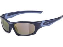 Alpina Flexxy Teen, Pink Mirror / lilac-blue gloss