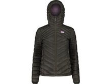 Maloja ArgenteraM., alpine woods leaf