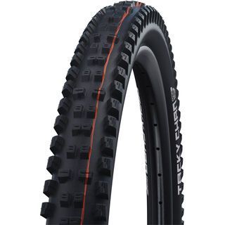 Schwalbe Tacky Chan Evo Addix Soft Super Trail - 29 Zoll