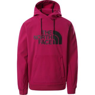 The North Face Men’s Tekno Logo Hoodie roxbury pink