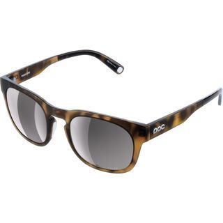 POC Require Clarity Road tortoise brown